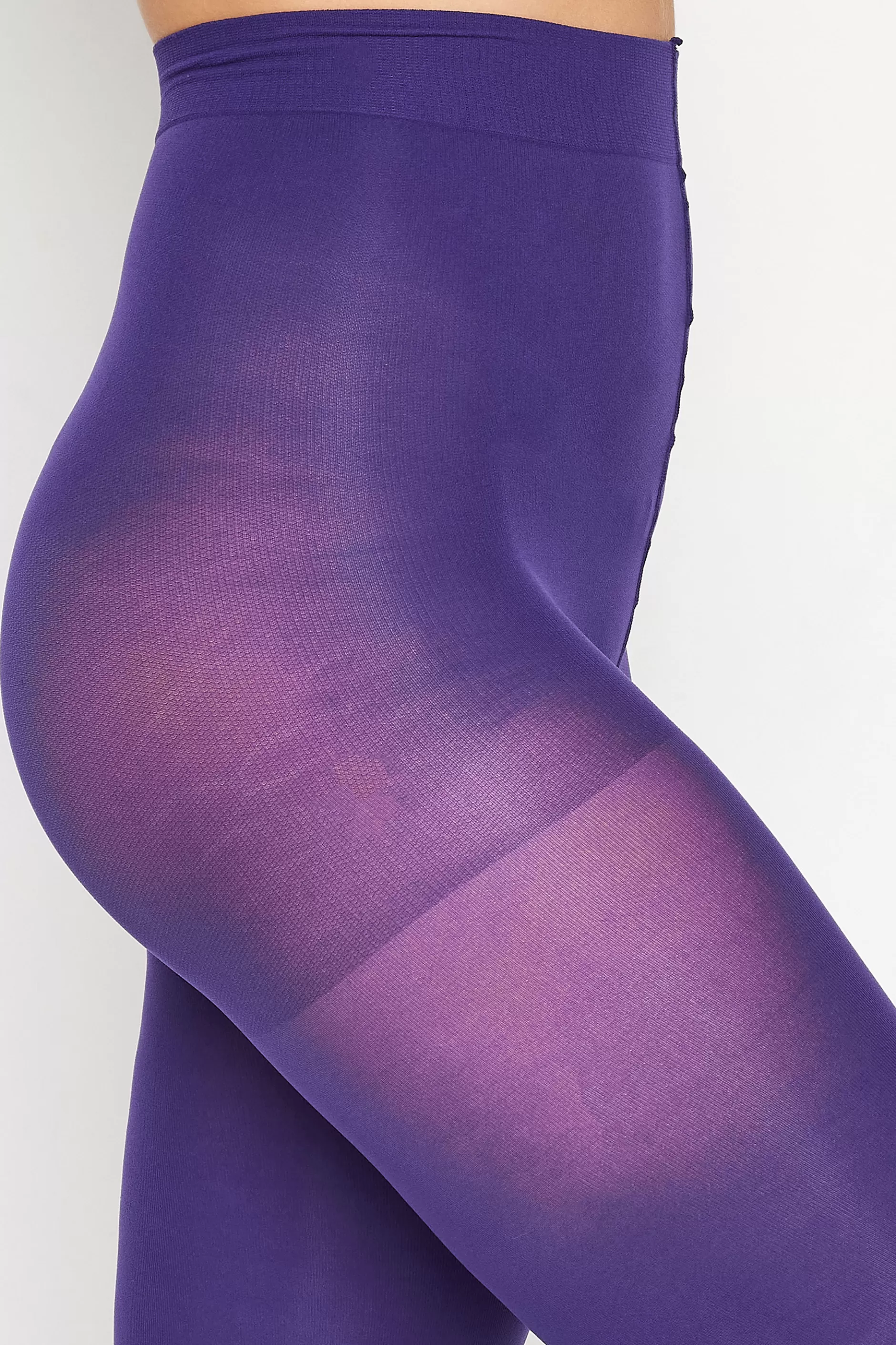 Women M&Co Tights>Lts Lts Tall Purple 50 Denier Premium Tights