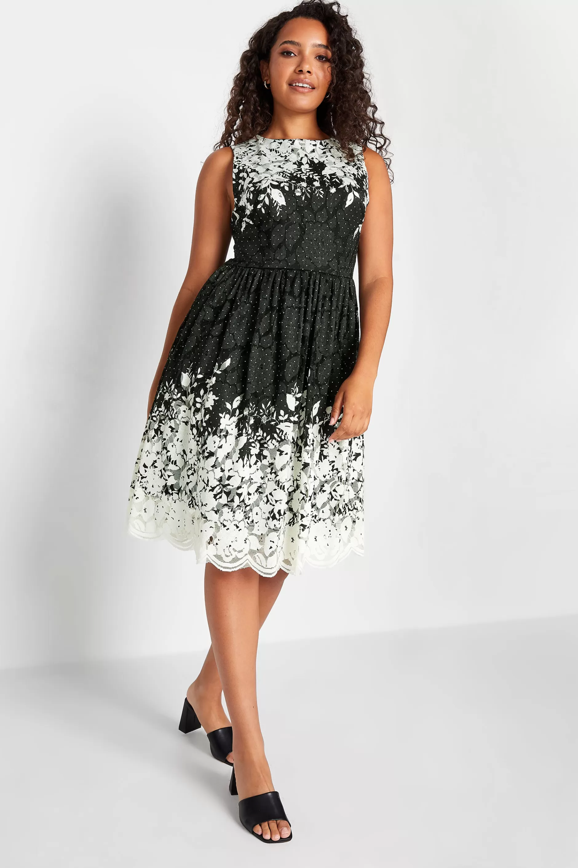 Women M&Co Wedding Guest Dresses> Womens Black Lace Border Midi Dress