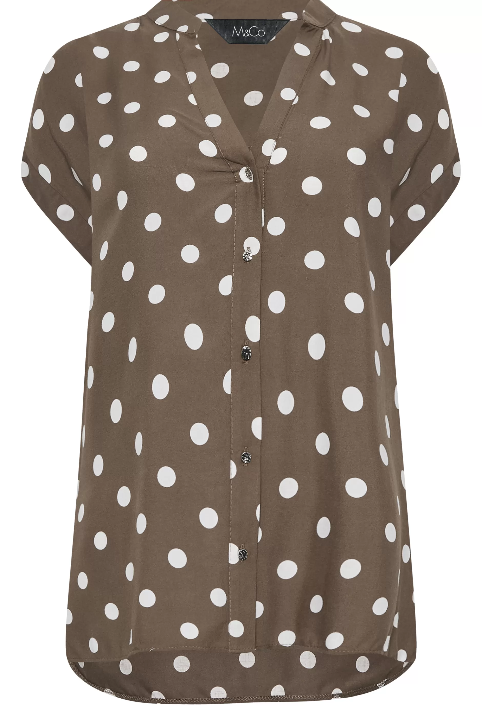 Women M&Co Short Sleeve Tops> Womens Brown Polka Dot Blouse