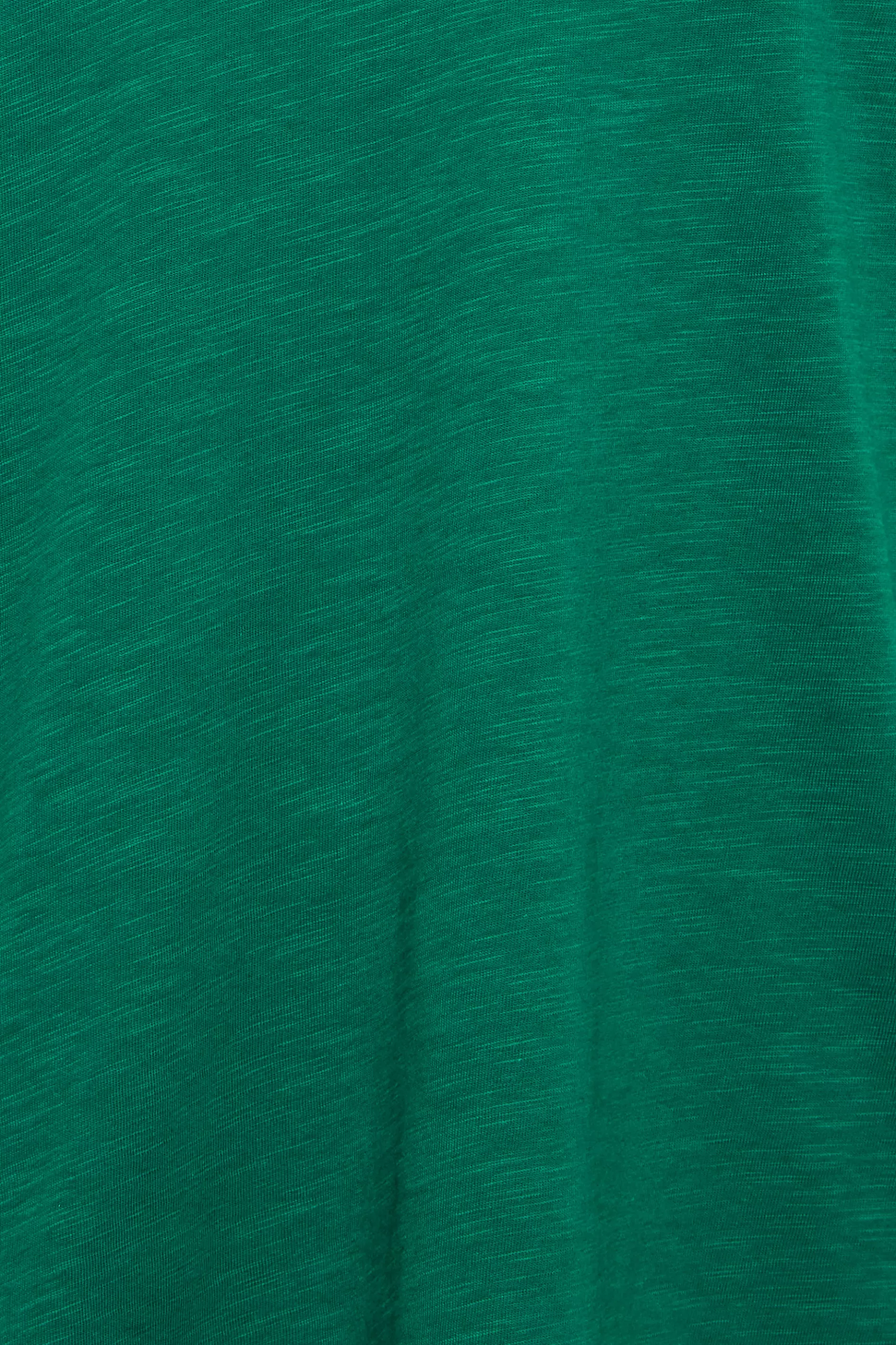 Women M&Co T-Shirts> Womens Dark Green V-Neck Long Sleeve Cotton Blend T-Shirt