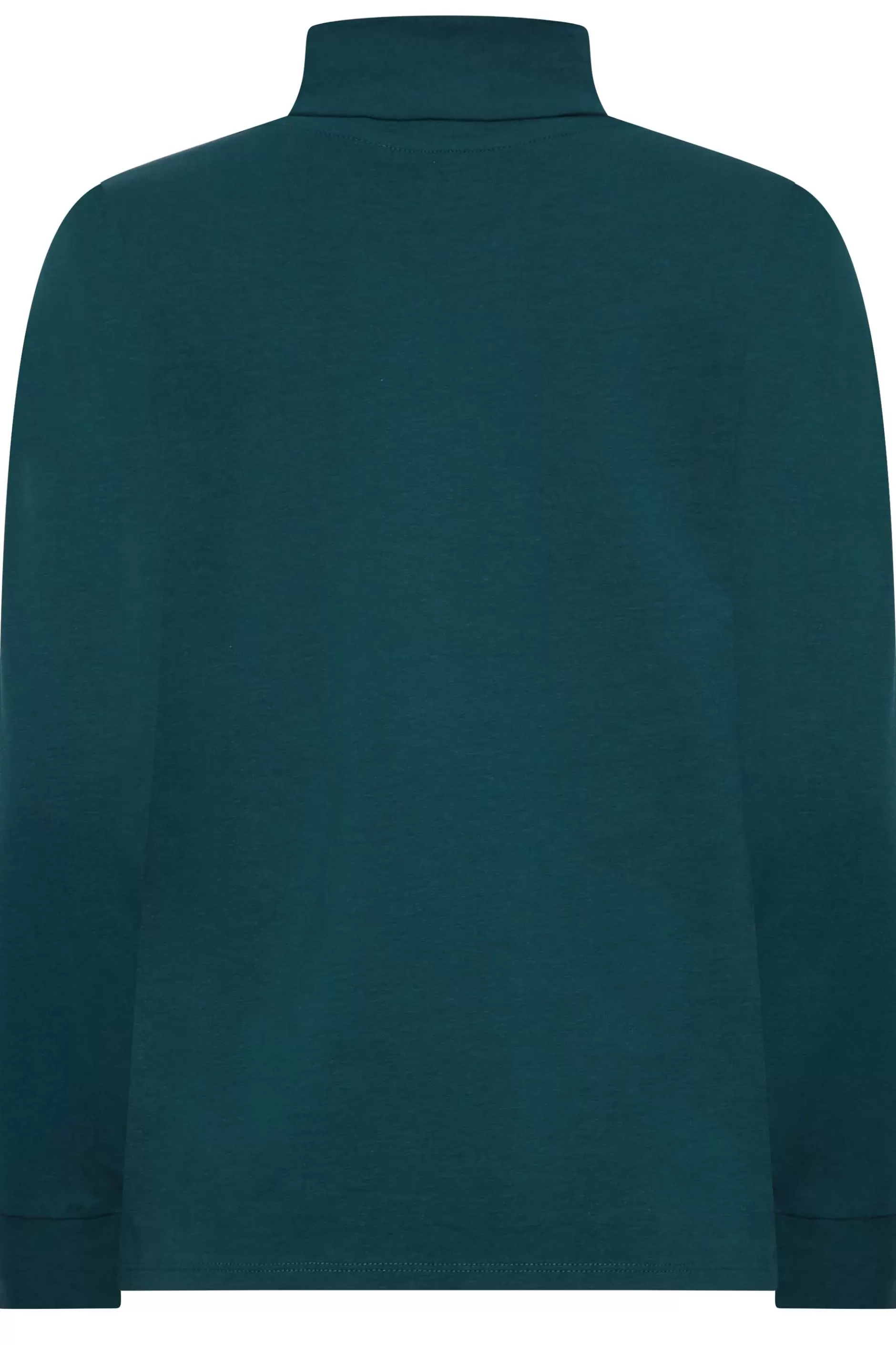 Women M&Co T-Shirts> Womens Green Turtle Neck Long Sleeve Cotton Blend Top
