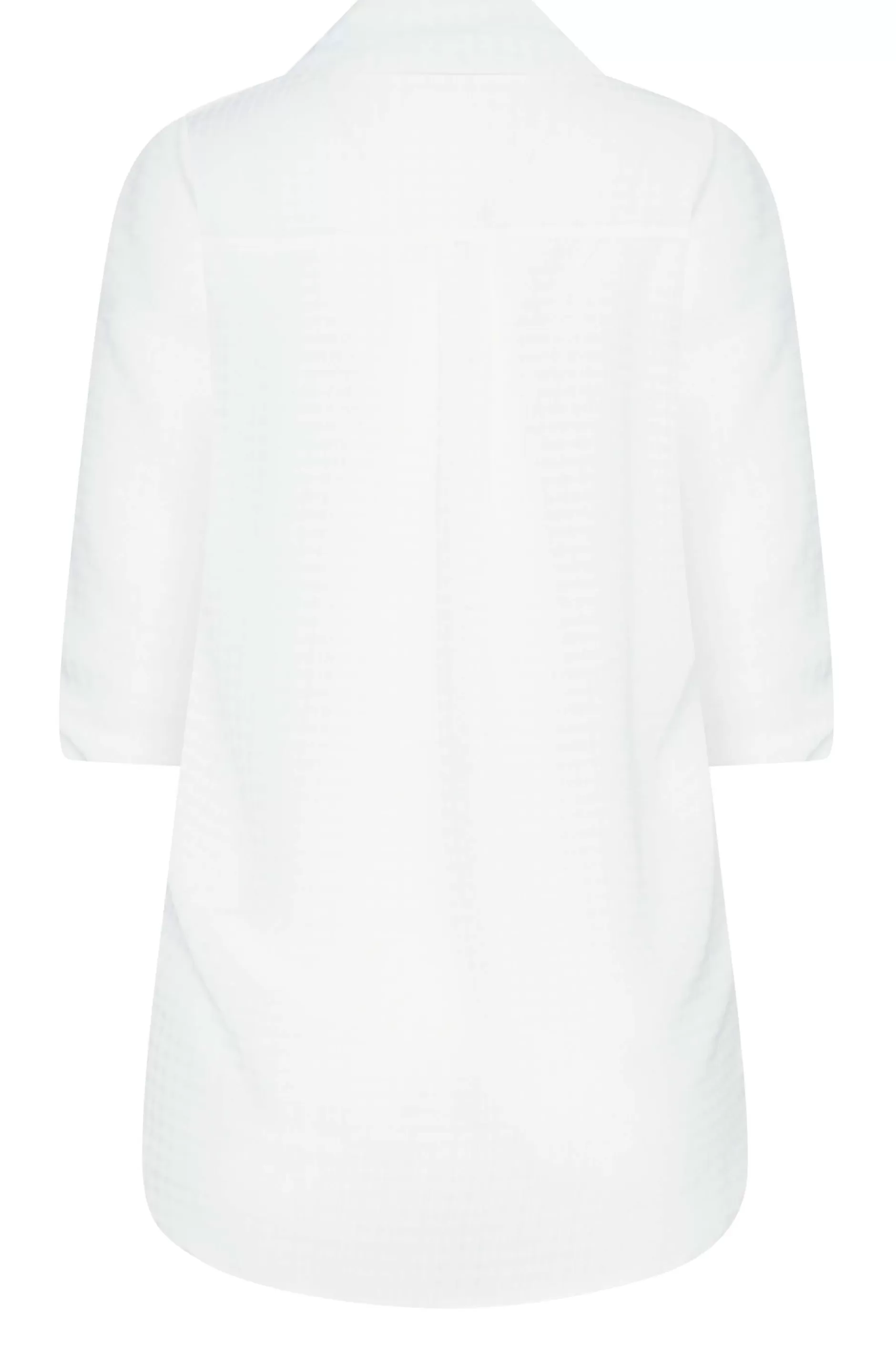 Women M&Co Shirts> Womens Ivory White Dobby Check Tab Sleeve Shirt