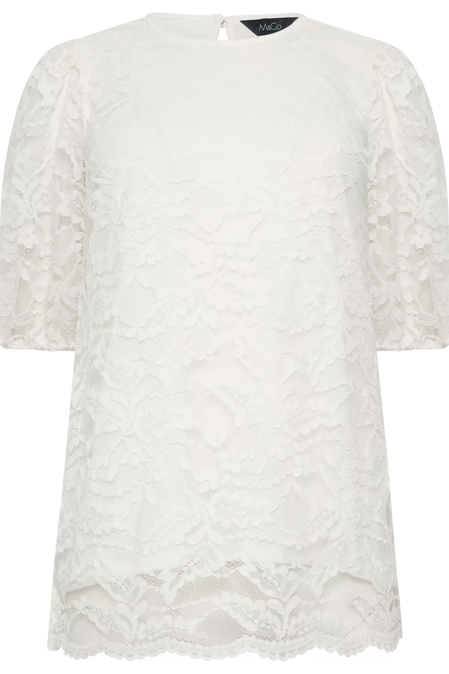 Women M&Co Short Sleeve Tops> Womens White Lace Floral Blouse