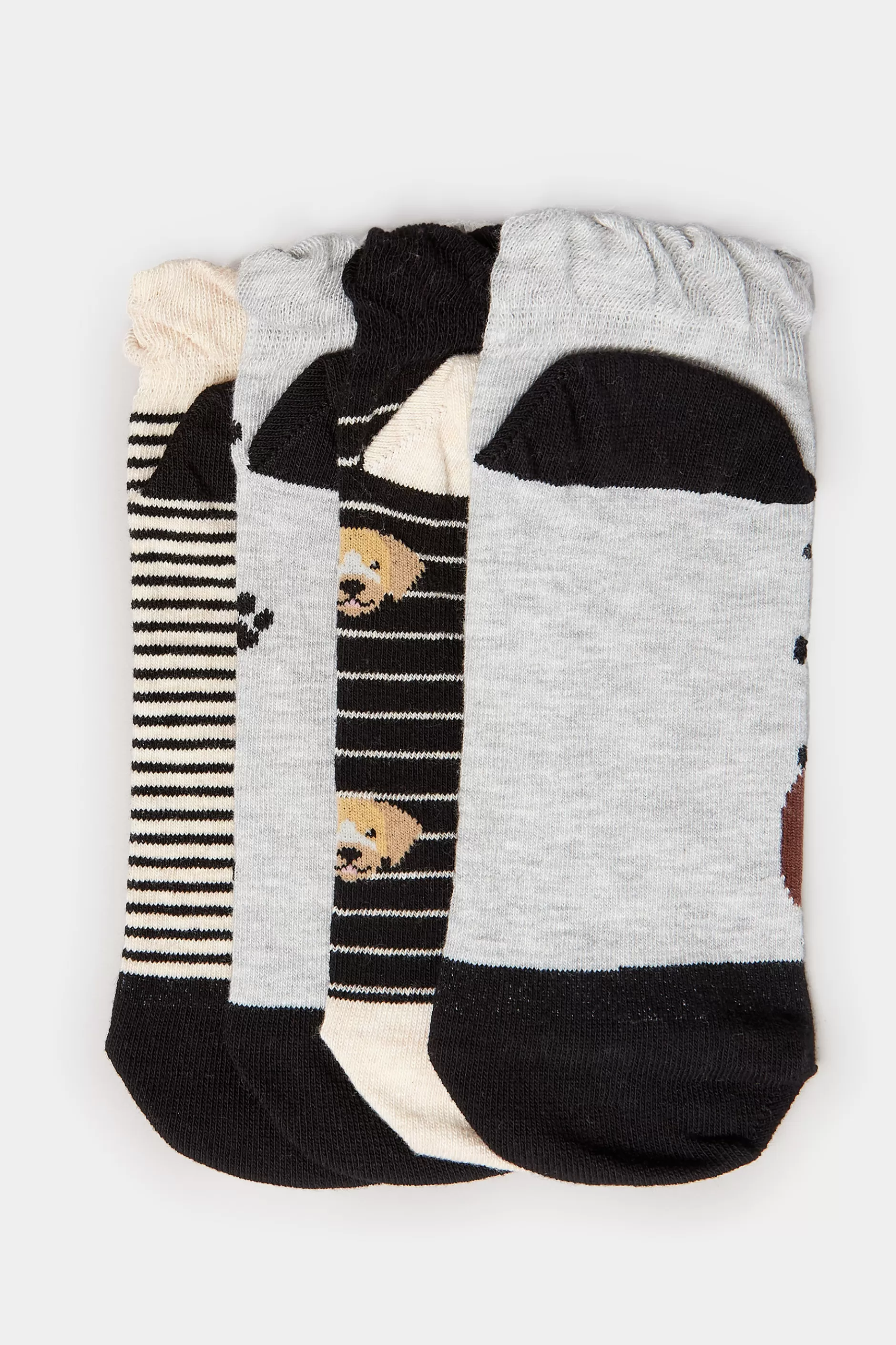 Women M&Co Socks>Yours Yours 4 Pack Black Dog Print Trainer Liner Socks