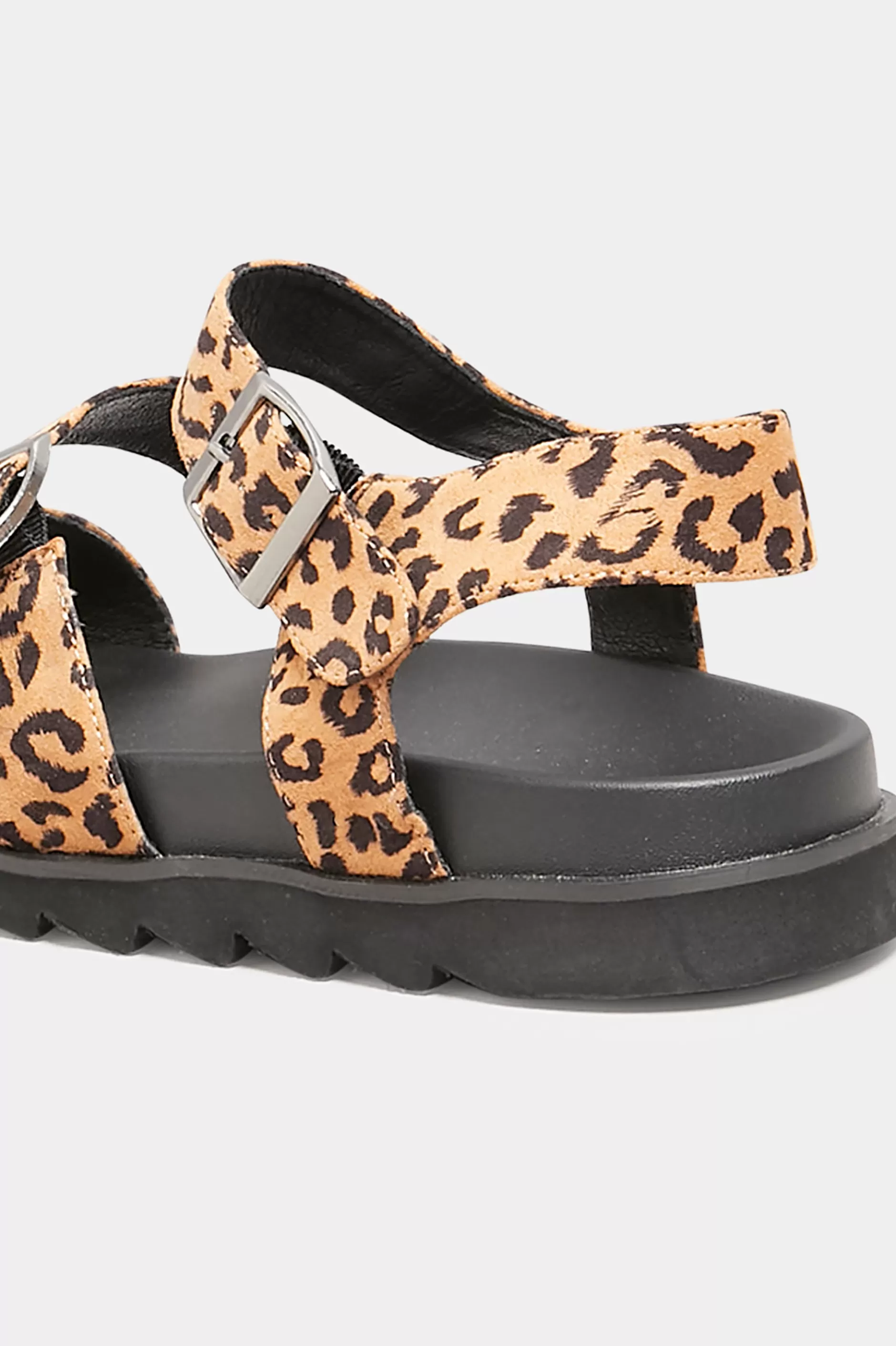 Women M&Co Flat Shoes>Yours Yours Black Leopard Print Buckle Sandals In Extra Wide Eee Fit