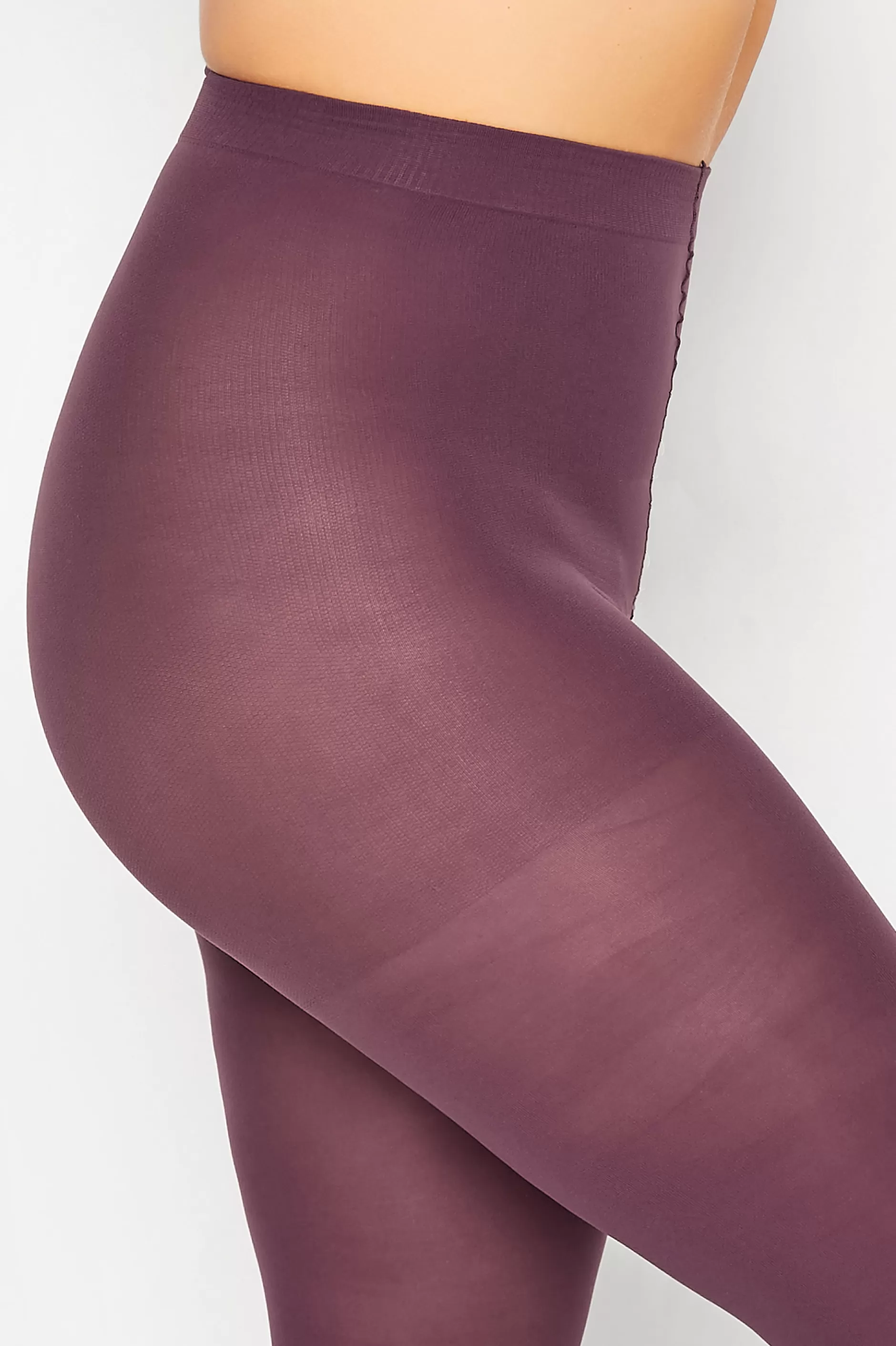 Women M&Co Tights>Yours Yours Damson Purple 50 Denier Microfibre Premium Tights